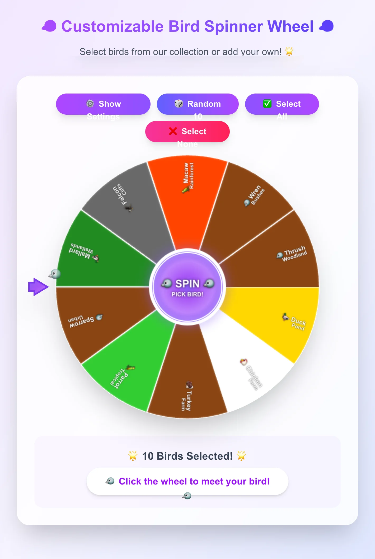 Bird Spinner Wheel - Fun Random Bird Picker Game