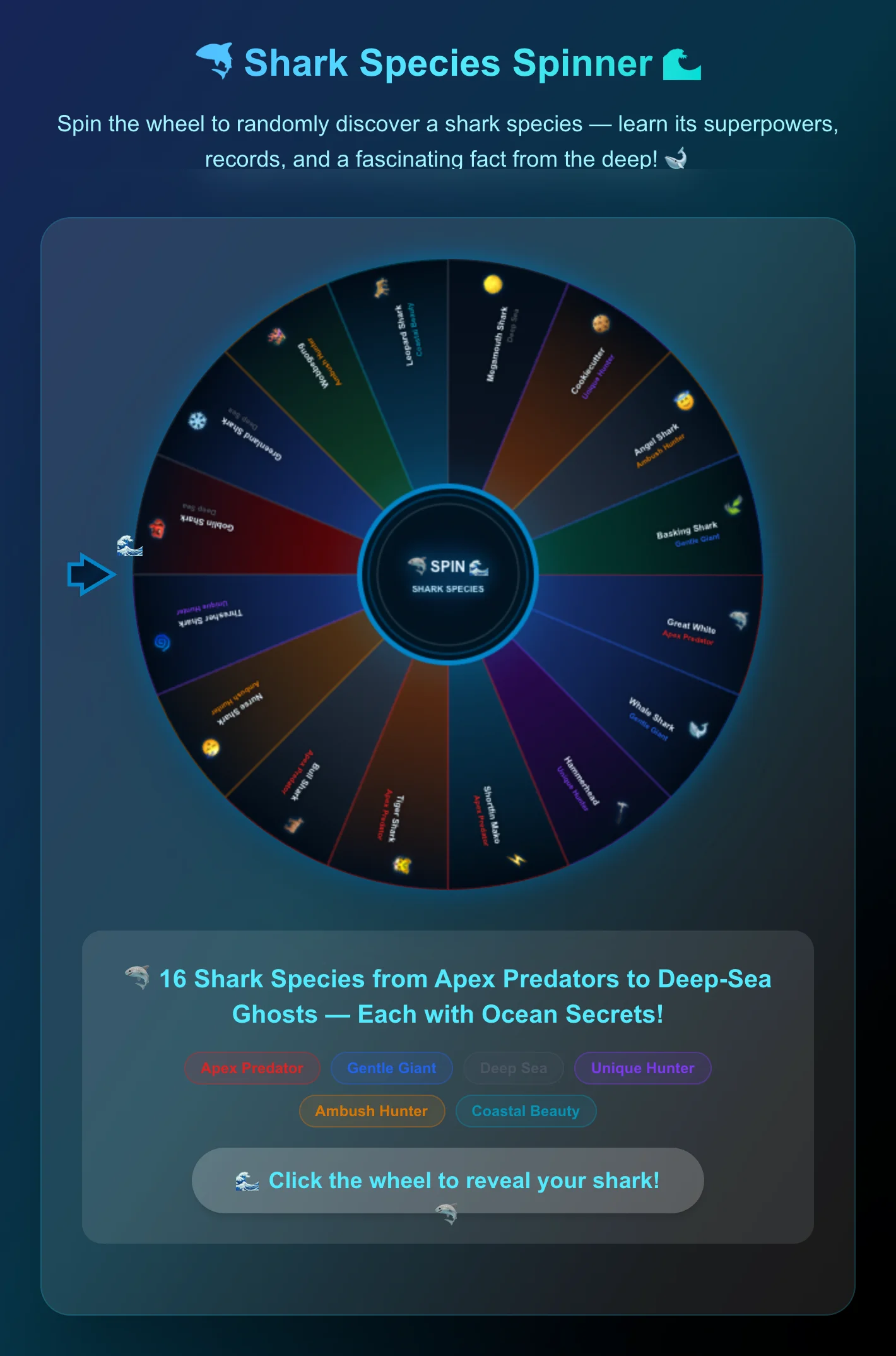 Shark Species Spinner Wheel