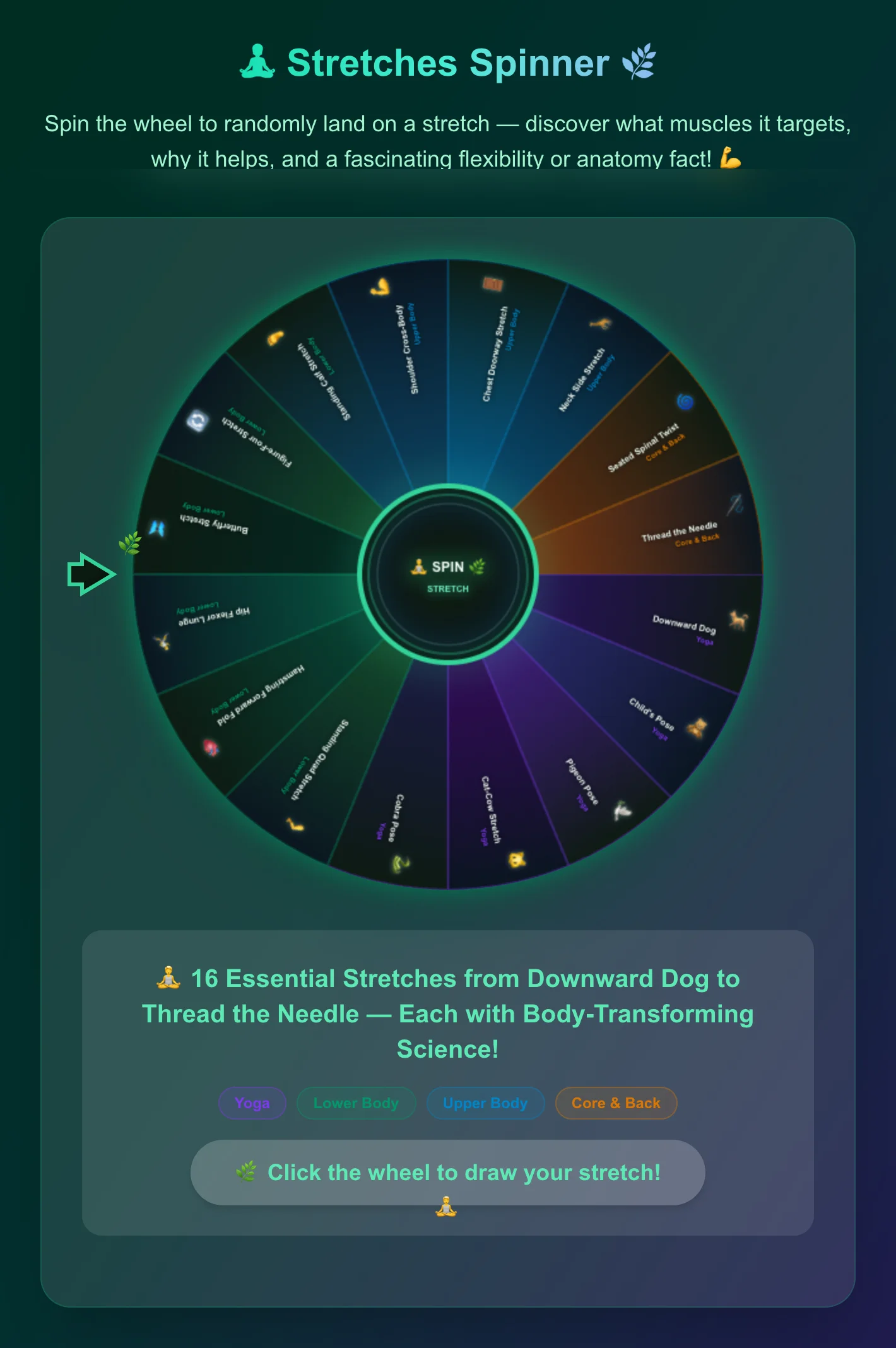Stretches Spinner Wheel