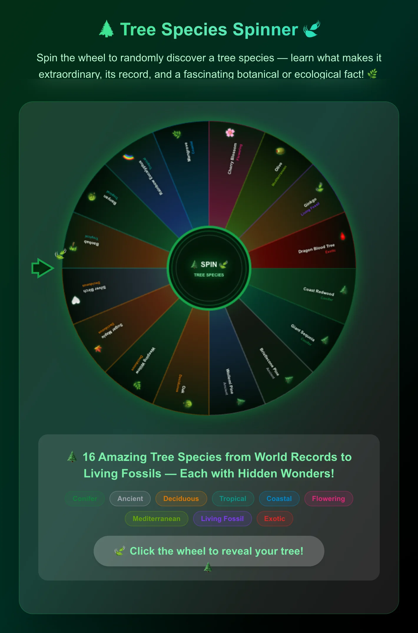 Tree Species Spinner Wheel